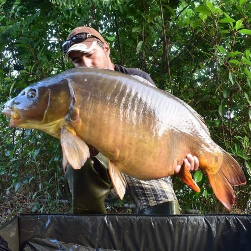 Boiles Mastodont: l’esca vincente per la carpa | Carpfishing Italia, la