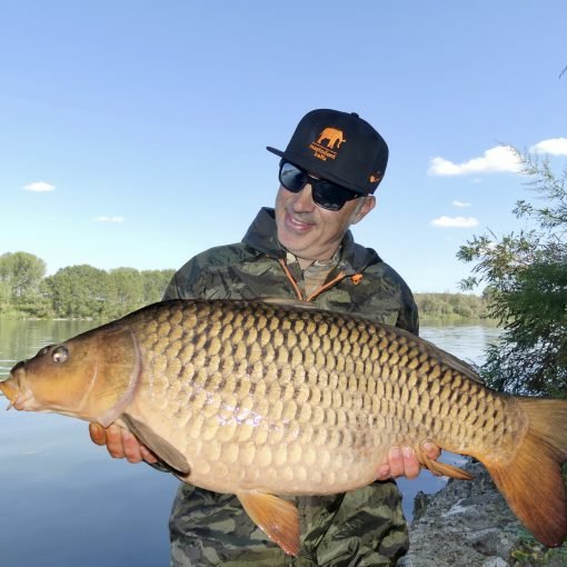 Fermi Esca Rapidi Trasparenti Per Pesca - 56 Pezzi, Per Pellet, Mais